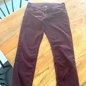 Paige Pants in Burgundy